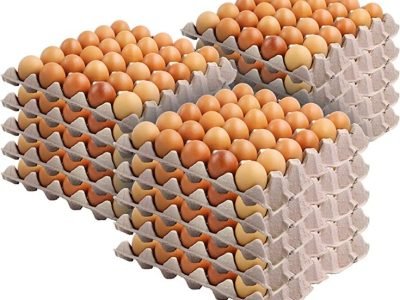30-Cell Egg Crates (15 Pack) - Recyclable & Stackable Pulp Fiber Egg Flats for Egg Packing, Small Tools, Automotive Parts, Roach Colony - Cardboard Egg Cartons for Soundproofing - Stock Your Home